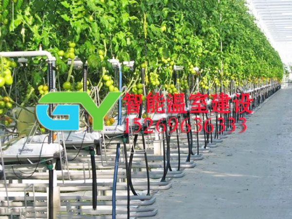 無土栽培設施