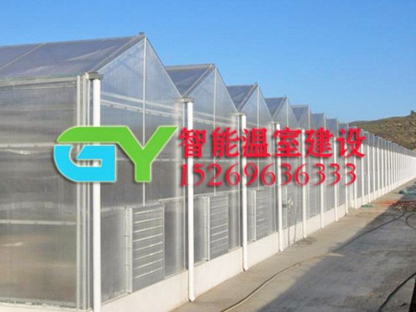 陽(yáng)光板智能溫室