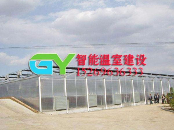陽(yáng)光板智能溫室