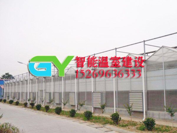 陽(yáng)光板智能溫室
