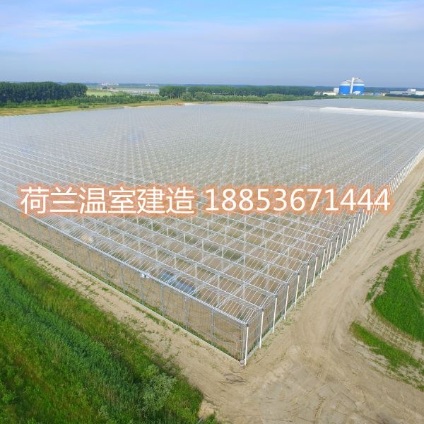 荷蘭智能玻璃溫室